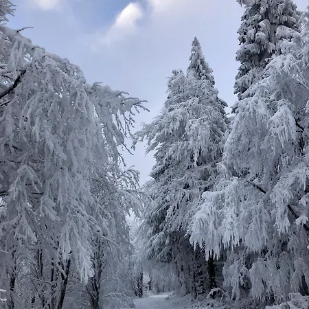 Welcome In - 'kleines Glueck', Je Perfecte Uitvalsbasis In Sauerland 아파트 빈터베르크