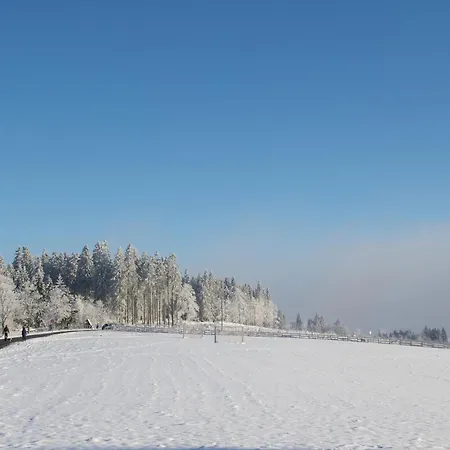 Apartman Welcome In - Kleines Glueck In - Ihr Idealer Anfang Im Sauerland