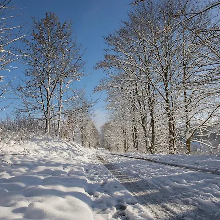 Welcome In - Kleines Glueck In - Ihr Idealer Anfang Im Sauerland Lägenhet Winterberg